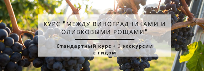 Курс: Между виноградниками и оливковыми рощами