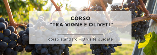 Corso “Tra vigne e oliveti”